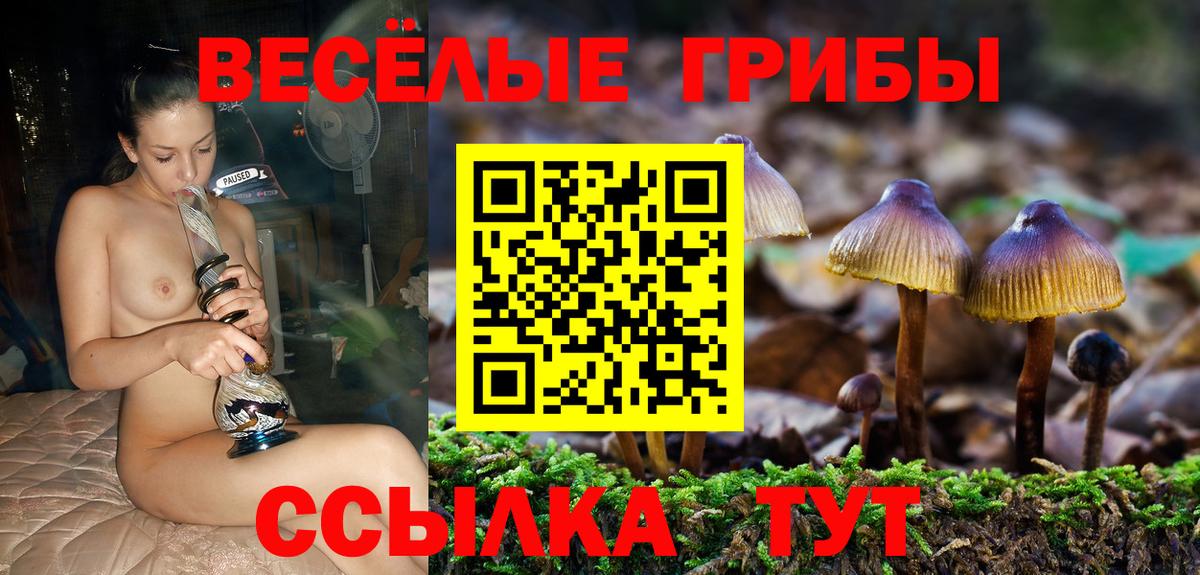 Галлюциногенные грибы мицелий Севастополь